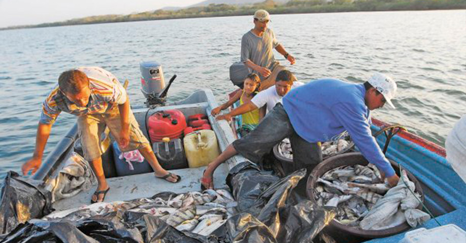 UNAN-León Autonomía Costa Caribe Nicaragüense