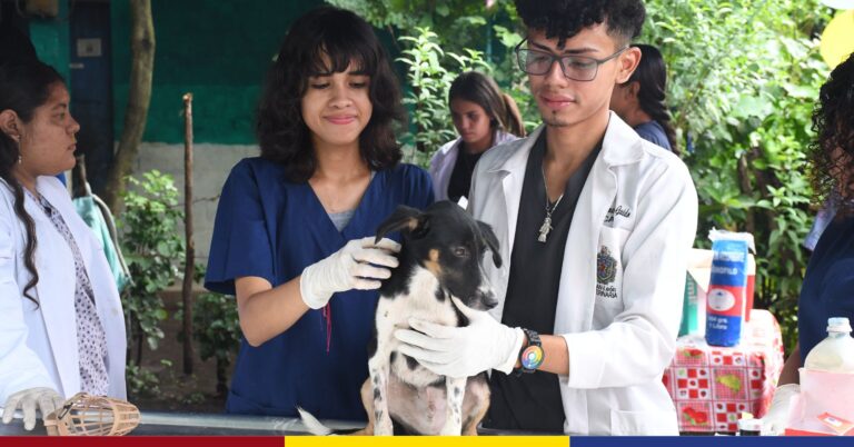 UNAN-León realiza Feria de Salud Animal